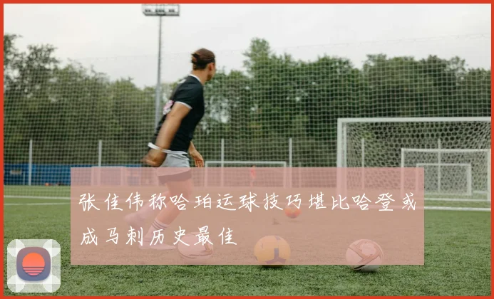 张佳伟称哈珀运球技巧堪比哈登或成马刺历史最佳