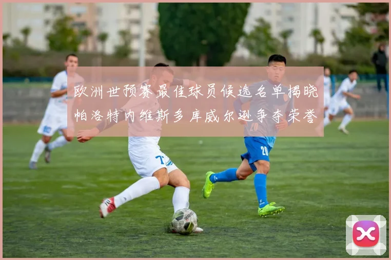 欧洲世预赛最佳球员候选名单揭晓帕洛特内维斯多库威尔逊争夺荣誉