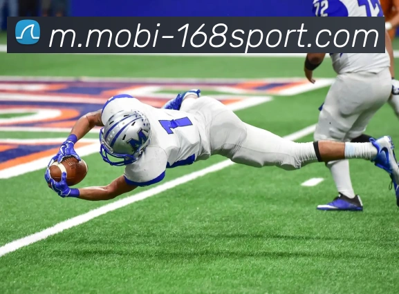 多媒体互动体验