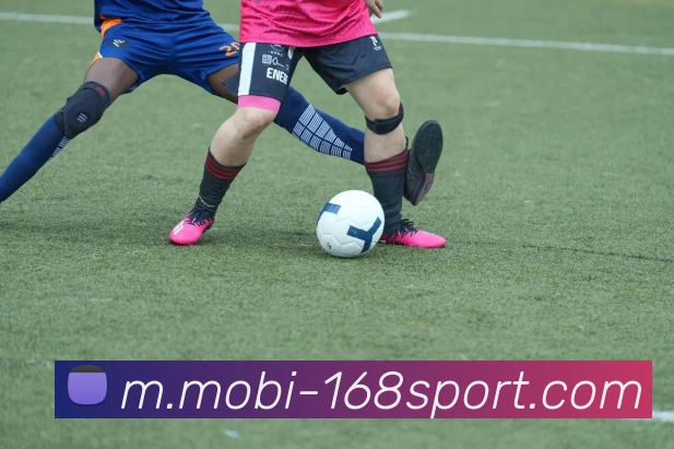 168体育APP 高清赛事图